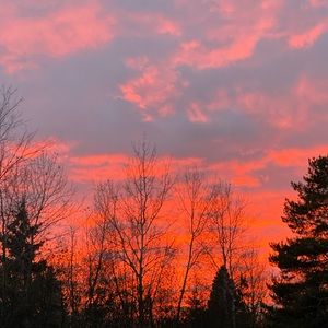 Meet your Posher, Joey